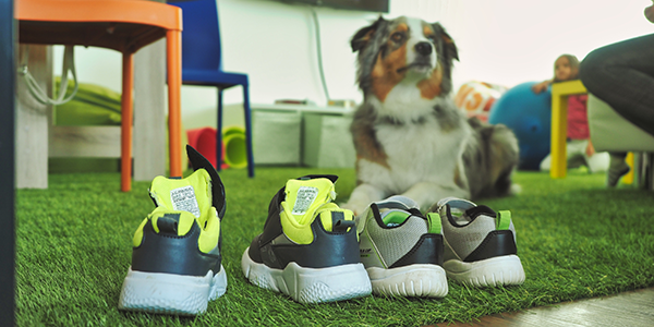 Családbarát díjak - CompuTREND